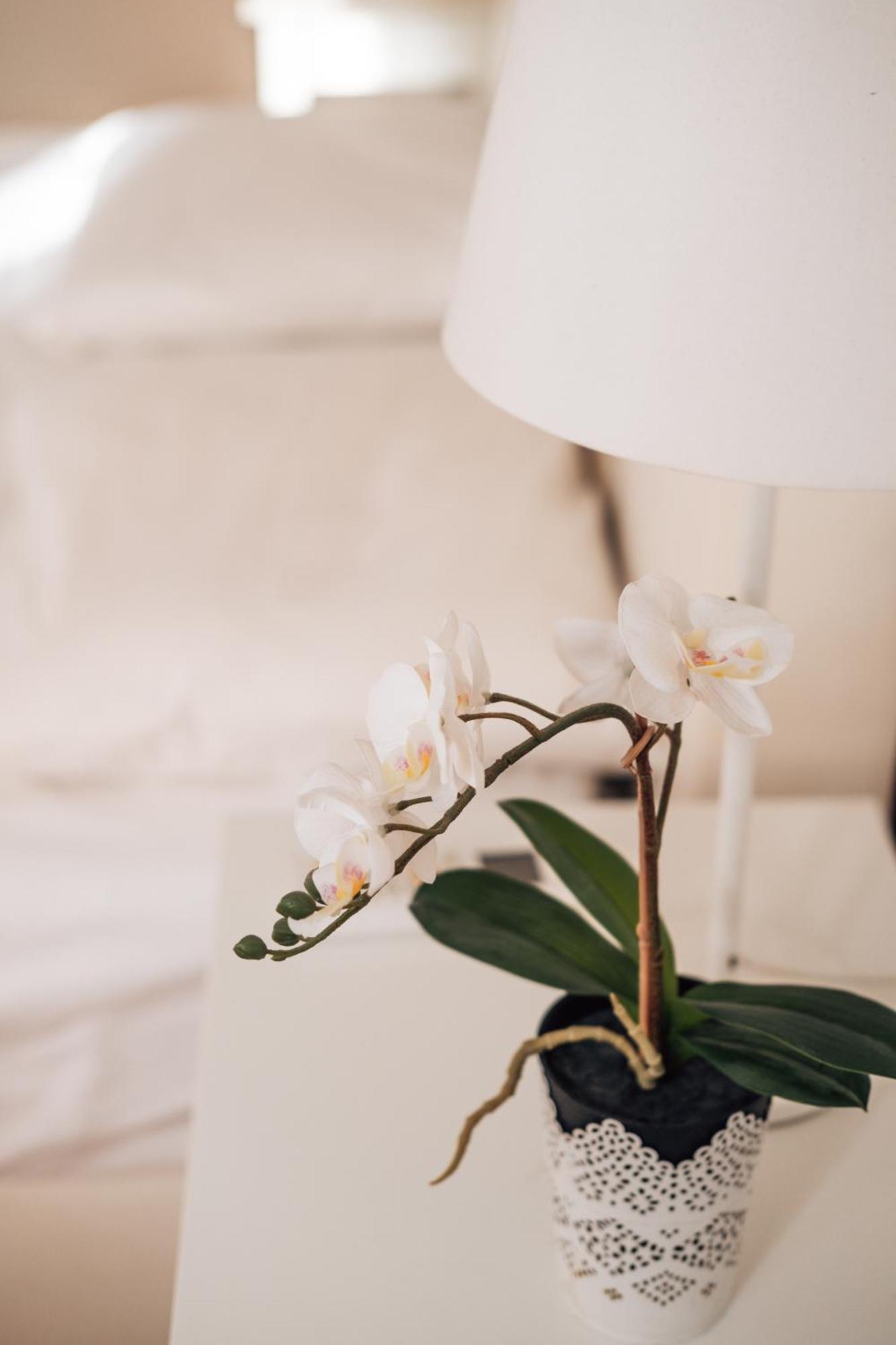 Crown Central Three Bedroom Apartment ベオグラード エクステリア 写真