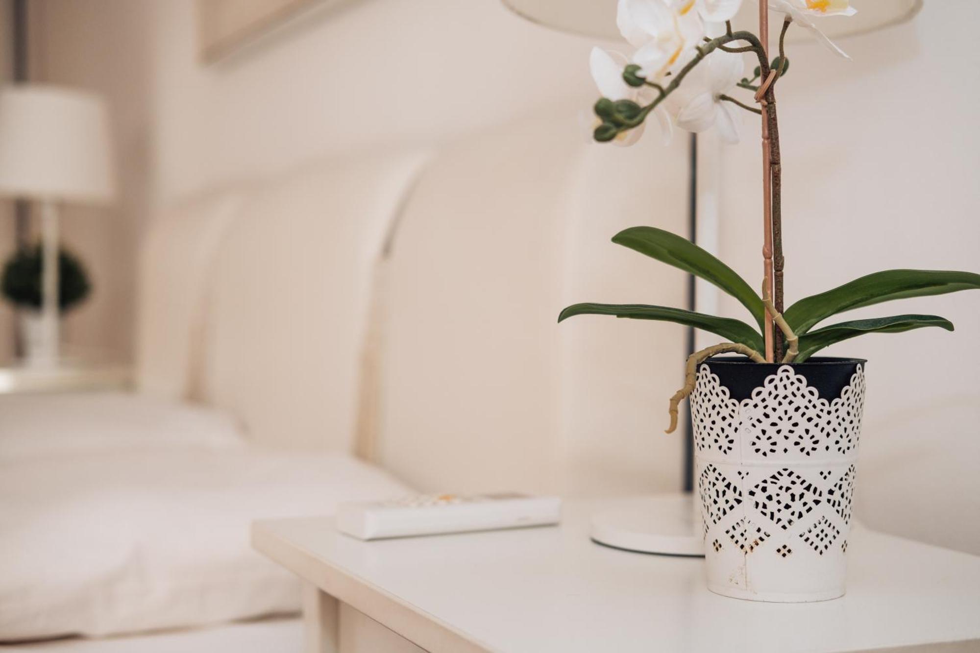 Crown Central Three Bedroom Apartment ベオグラード エクステリア 写真